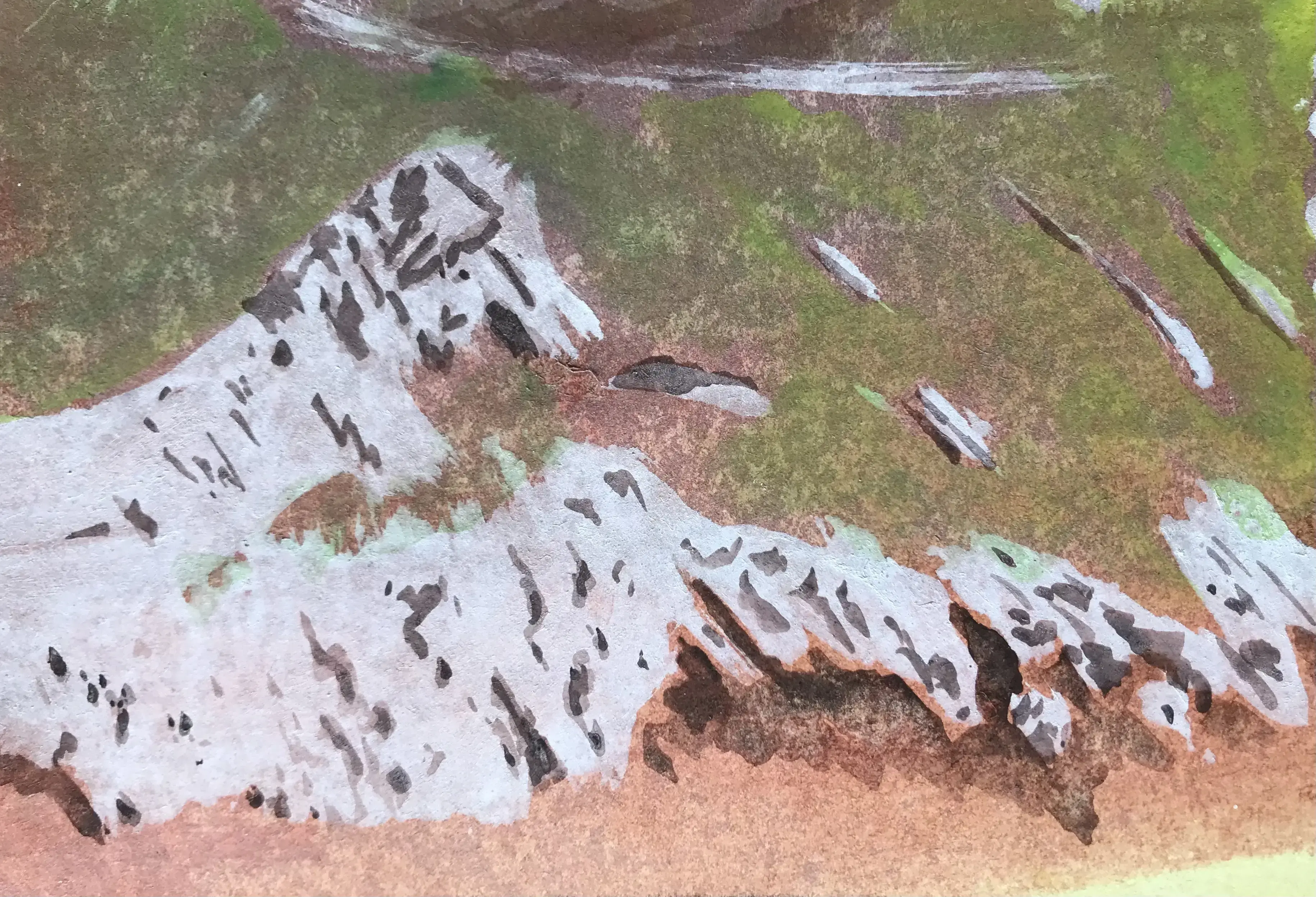 Grune-Berge-Green-Mountains