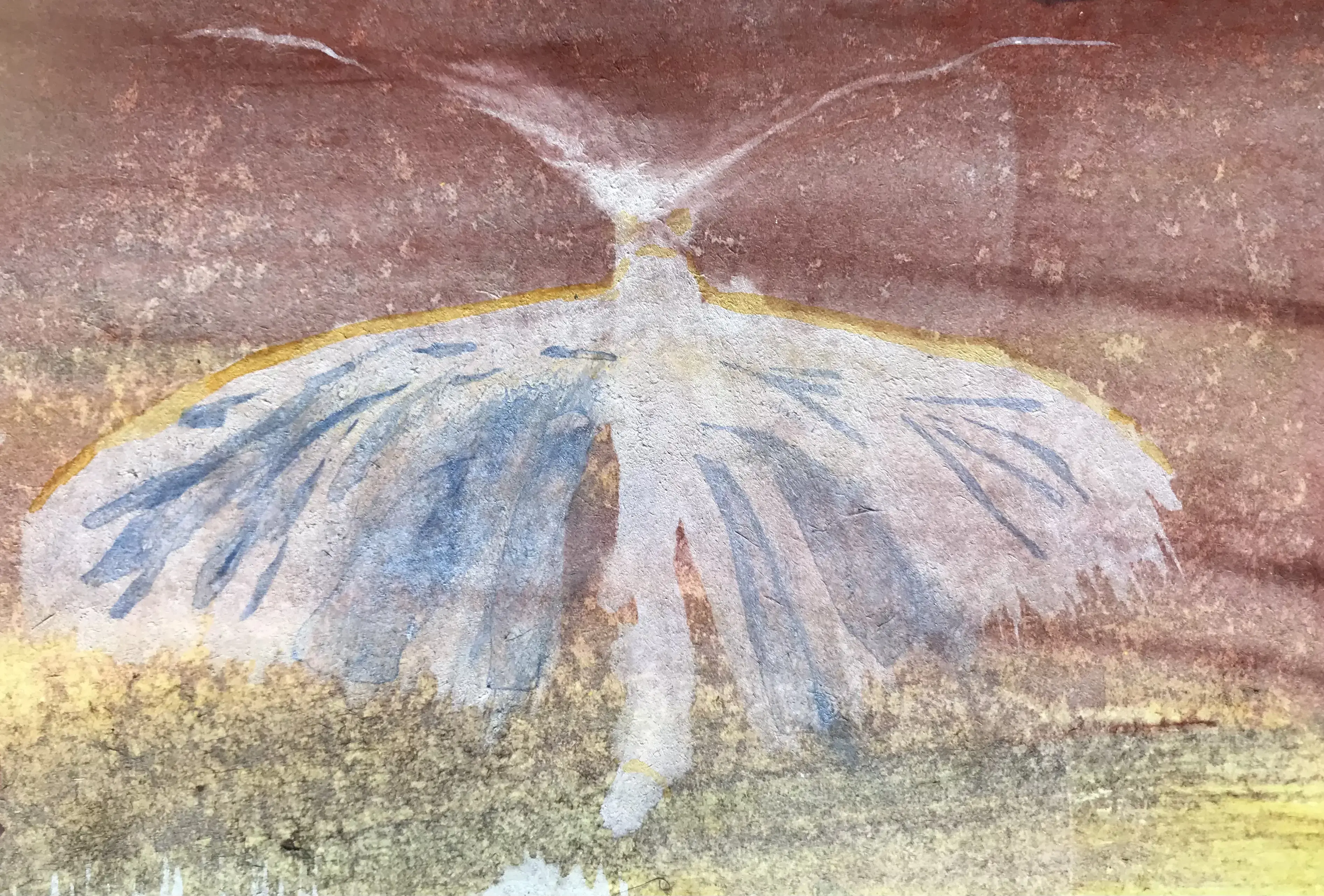Motte-Moth